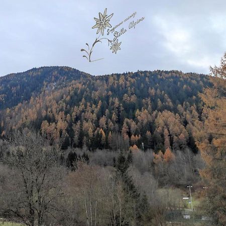 Soggiorno Vacanze Stella Alpina Temu Luaran gambar