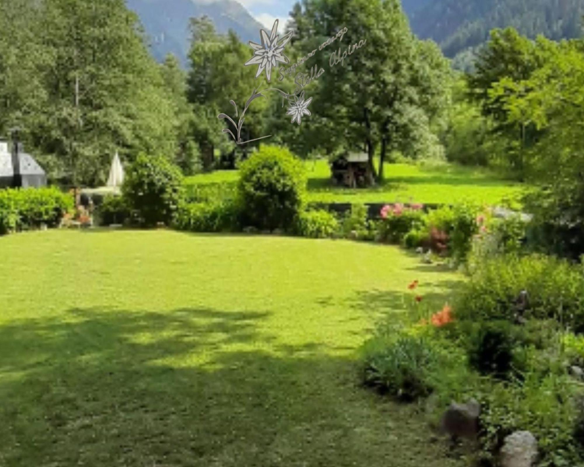 Soggiorno Vacanze Stella Alpina Temu Luaran gambar